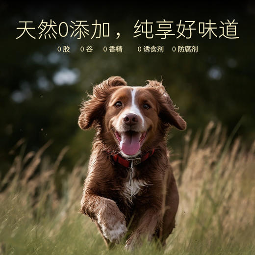 Meatyway爵宴美食家宠物零食狗罐头拌饭营养湿粮狗狗鲜食罐 商品图2