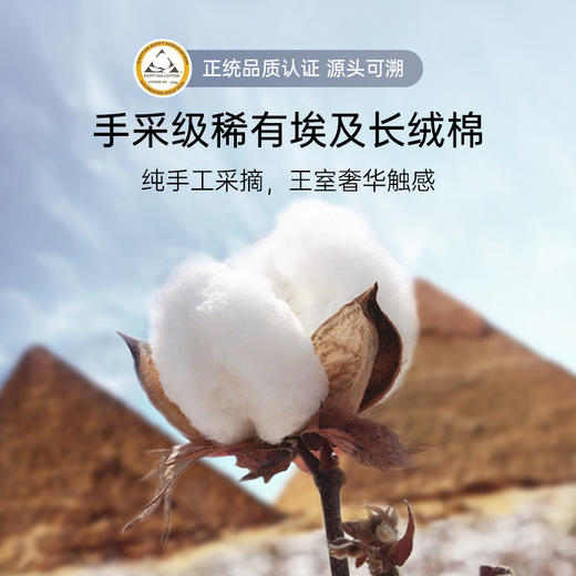 2026年新款雅芳婷100S埃及长绒棉四件套轻奢全棉蕾丝被套床笠套件 商品图1