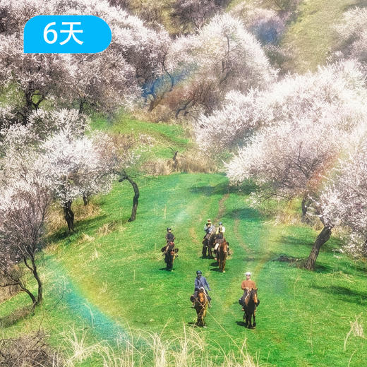 马背·骑跃世界｜库尔德宁+吐尔根杏花沟策马寻花6日 商品图2