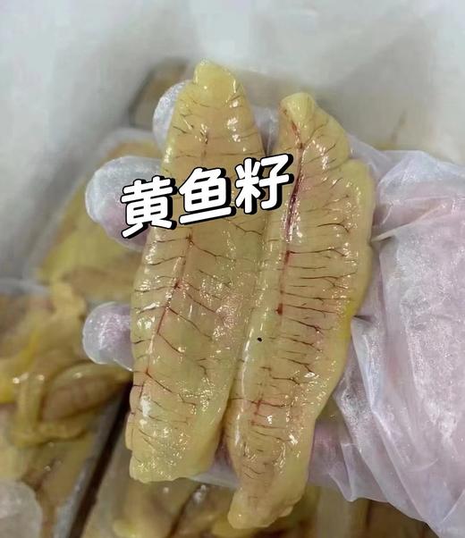 新鲜黄花鱼籽，丰富的蛋白质和钙，红烧爆炒太下饭了！ 商品图2