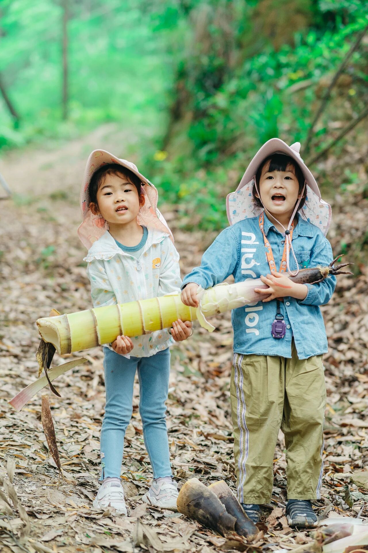 3.22（日）/4.5春假【崇州大坪山】刮棕榈芯、挖笋、采枇杷茶、挖折耳根、挖野菜