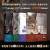 狼王四部曲 8号狼的崛起 21号狼的统治 302号狼的救赎 狼之女王 商品缩略图0