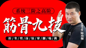 【新版系统筋骨九技4.0】