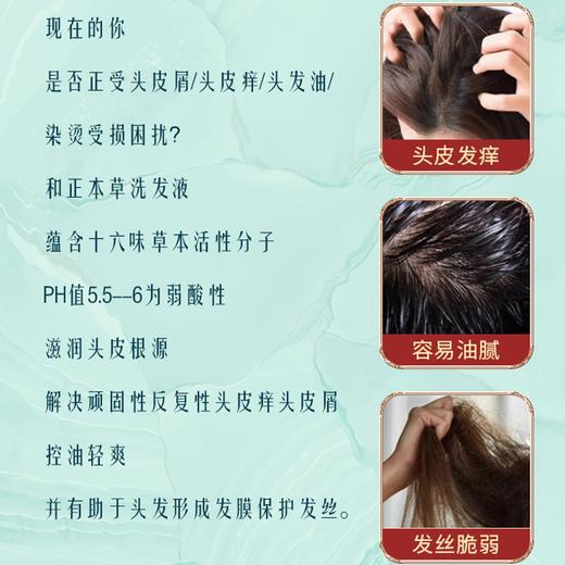 疯抢中！！【送3袋试用装·支持免费试用】【非遗本草·洗护合一洗发液】萃取16味天然草本精华 去屑/控油/护发3种检测认证 450ml*瓶 商品图3