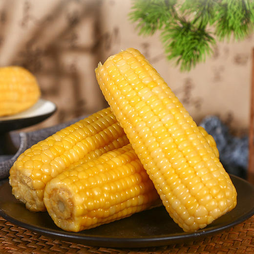 米知客香糯黄玉米内蒙古采摘真空锁鲜袋装粒粒金黄自然甜糯配料干净老人小孩放心吃 商品图2