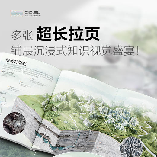 课本里的图解百科 商品图7