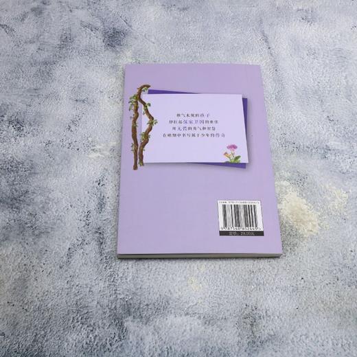 眉子的故事 商品图2