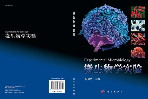 微生物学实验 商品图3