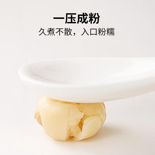 【SF】莲子 滋补营养 商品图2