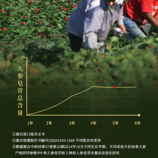 正安 四宝粉 四味协同温和润养气力双生 超微打粉好吸收 早晚一杯滋养身心 60g（3g×20）/盒 商品图5