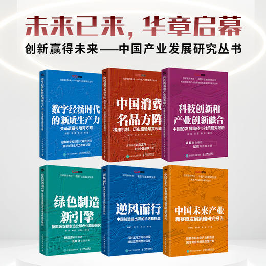 中国消费名品方阵：构建机制、历史经验与实现路径 品 建设消费升级政策研究案例实操书籍 商品图4