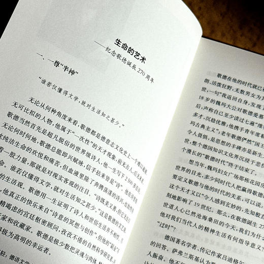 早上苍老 傍晚年轻 德语文学之镜 豆瓣2024年度译者黄雪媛首部文学随笔集 商品图7