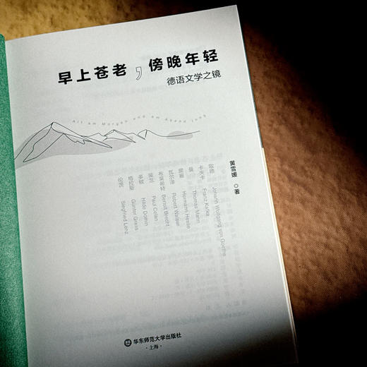 早上苍老 傍晚年轻 德语文学之镜 豆瓣2024年度译者黄雪媛首部文学随笔集 商品图5