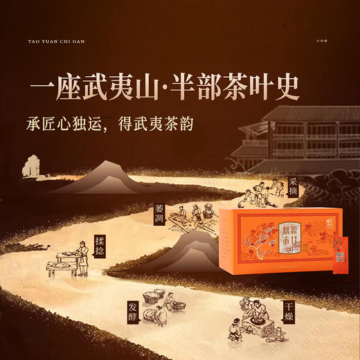 元正 桃源赤甘 正山小种红茶特级正宗武夷山蜜桃香茶叶盒装口粮茶 商品图3