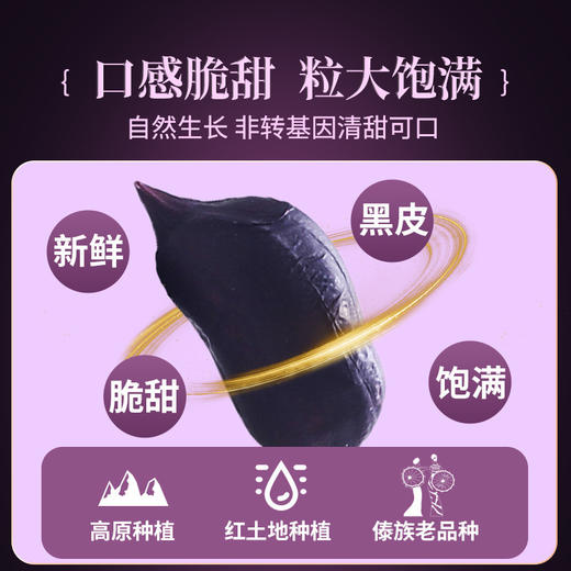【产地直发❗️农科院云南黑花生】自然生长，颗粒饱满，营养丰富，新货带壳生的炒熟普洱特产富黑皮花生米硒 商品图2