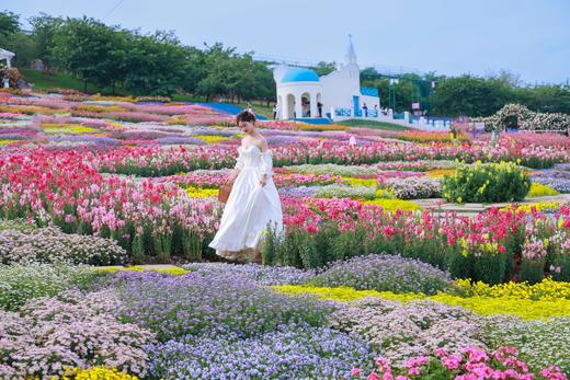 2026年春游季优待票40 商品图2