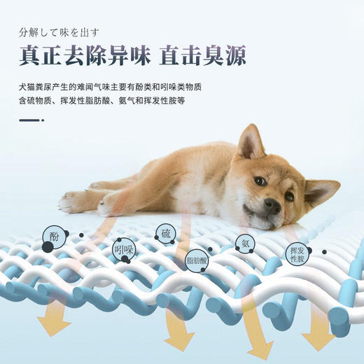 Kojima宠物除臭剂狗狗猫咪除臭生物酶猫尿除味猫砂去尿味喷雾 商品图1