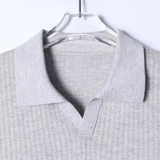 SDSA男装2026新款高贵轻奢简约纯色肌理海鸥领短袖T恤百搭休闲 商品图1