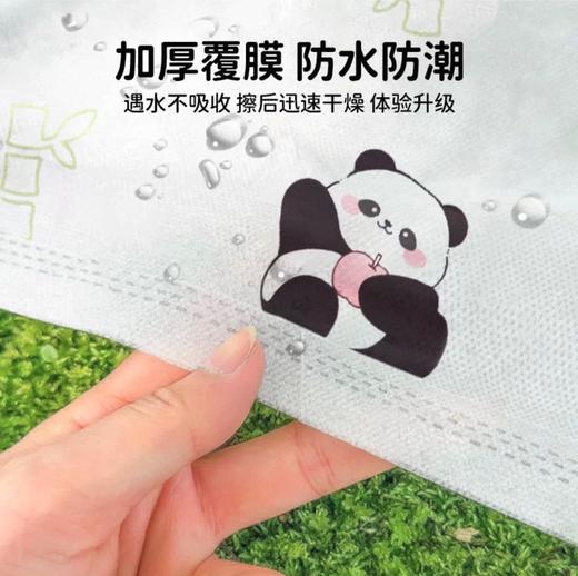 户外出游【加厚一次性野餐垫】露营春游熊猫防潮垫 便携郊游地垫沙滩垫野餐布 商品图2