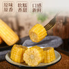 米知客香糯黄玉米内蒙古采摘真空锁鲜袋装粒粒金黄自然甜糯配料干净老人小孩放心吃 商品缩略图1