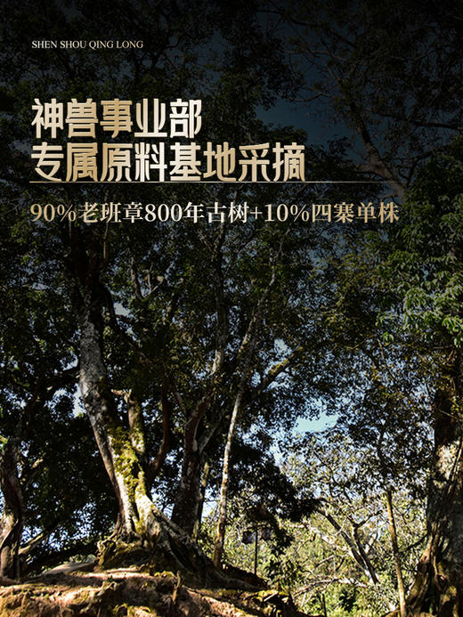 3月19日中午12点【2026年春茶预售】【神兽青龙】老班章古树占比90% 神兽事业部独立出品，超越纯料老班章的存在！357g/饼 限量60套；拍5箱发6箱 商品图7