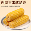 米知客香糯黄玉米内蒙古采摘真空锁鲜袋装粒粒金黄自然甜糯配料干净老人小孩放心吃 商品缩略图3