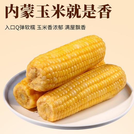 米知客香糯黄玉米内蒙古采摘真空锁鲜袋装粒粒金黄自然甜糯配料干净老人小孩放心吃 商品图3