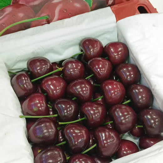 【特级甜美美早大樱桃来喽】产地极缺，外观好、有光泽、份量比较重、因为满足自然条件生长，果实饱满，且吃且珍惜👍清甜爽口 商品图1