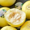 蜂糖蜜甜瓜  香甜软韧有脆劲  带有蜂糖香的小甜瓜 商品缩略图3
