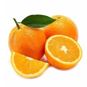 伦晚脐橙（多规格可选）