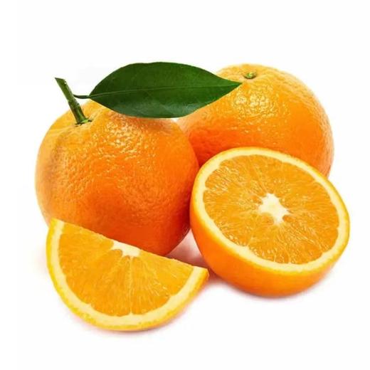 伦晚脐橙（多规格可选） 商品图0