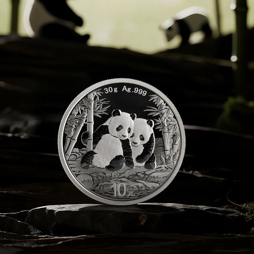 2026年熊猫30克银币 商品图5