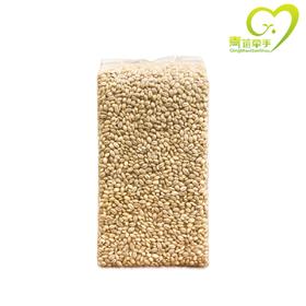 【青海帮扶】青苗牵手丨有机青稞米 500g