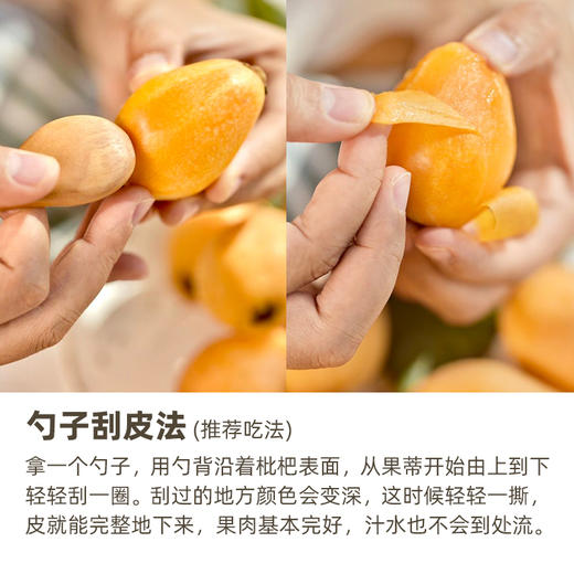 攀枝花米易高山有机枇杷 早钟枇杷新鲜应季水果产地顺丰发货 商品图7