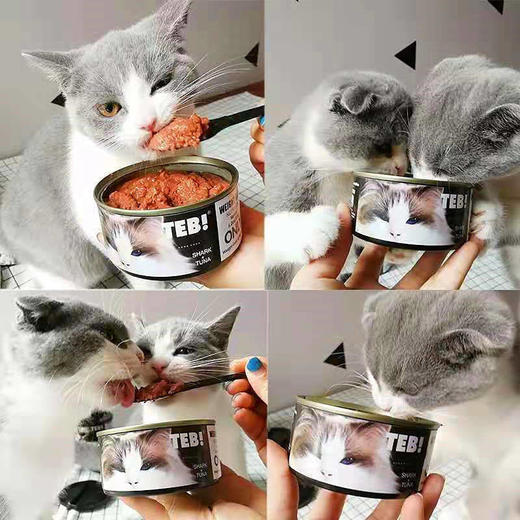 TEB!汤恩贝成幼猫湿粮原装黑白无毛O系列功能猫咪主食小黑罐 商品图3
