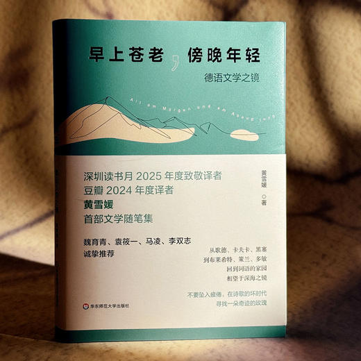 早上苍老 傍晚年轻 德语文学之镜 豆瓣2024年度译者黄雪媛首部文学随笔集 商品图3