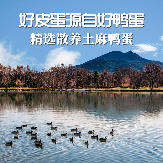 黄金松花皮蛋 糖心绵密嫩滑 蛋白香浓Q弹 精选散养土麻鸭蛋 皮蛋专用包装发货 商品图2