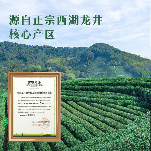 【2026年春茶】八马茶业 | 茗作5000·西湖龙井绿茶100g 商品图2
