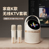 飞利浦（PHILIPS）蓝牙音响话筒K歌居家麦克风音响一体式便携家庭用ktv音箱男女儿童生日礼物 TAS2508 商品缩略图0
