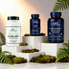 心血脑活力营养套装｜Herb'’s secret 消化酶120粒+Life Extension TMG甜菜碱60粒+Life Extension 鱼油 240粒 商品缩略图0
