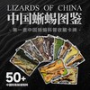 “中国蜥蜴图鉴【主题卡牌】” 爬友爬虫爱好者典藏 科普收藏卡 海峡书局【官方正版 48小时发货】 商品缩略图0