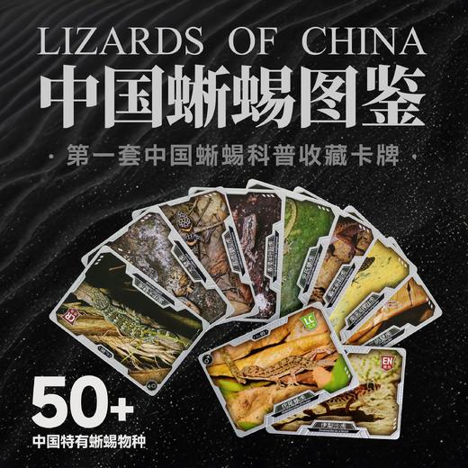 “中国蜥蜴图鉴【主题卡牌】” 爬友爬虫爱好者典藏 科普收藏卡 海峡书局【官方正版 48小时发货】 商品图0
