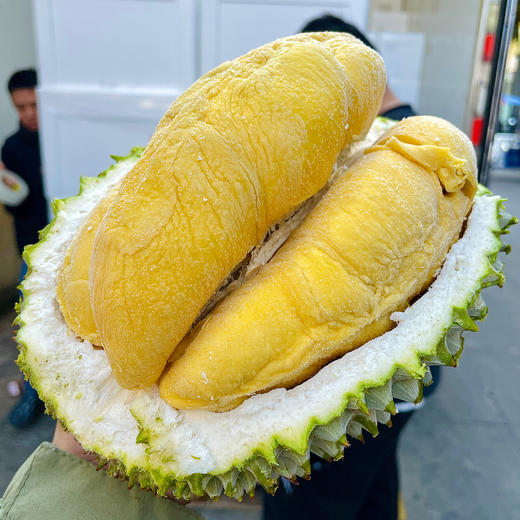 【老友福利】马来西亚液氮榴莲丨(猫山王/黑刺)猫山王微苦回甘、蜜甜奶香味；黑刺淳厚浓郁、绵密滑嫩（保5房）⭐️顺丰快递 商品图2