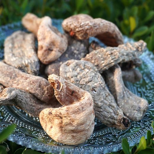 010乌天麻 优质品种 药食同源 整根生晒 保留天麻素 日常膳食调理 煲汤炖煮 商品图5