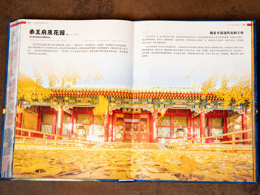 《中国建筑图解全书》（精装典藏版）足不出户逛遍全国156处古今建筑，3000幅全彩高清插图，从入门到精通：一本书看懂中国建筑之美 商品图7