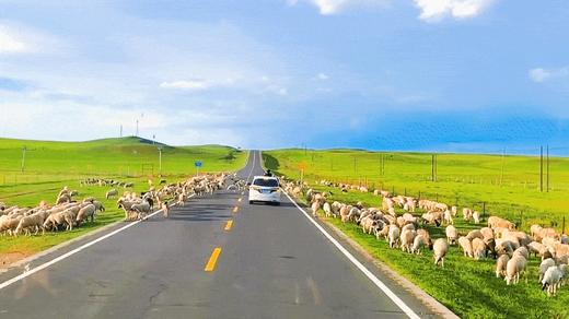 早鸟立减700！房车游牧·乌兰布统6天5晚亲子营 | 漫游达达线，Get央妈认证的最美草原公路！草原深度骑马、少年那达慕，走进草原赛马手的游牧生活，美学下午茶&游牧音乐会... 商品图2