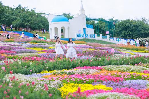 【春游季】2026年单人票49.9 商品图2