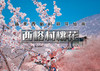 周末1日｜西峪村桃花｜网红打卡西峪村-徒步桃花栈道赏漫山桃花-打卡辛庄生活市集 商品缩略图0