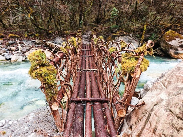 1773039591735308.jpg 3.jpg