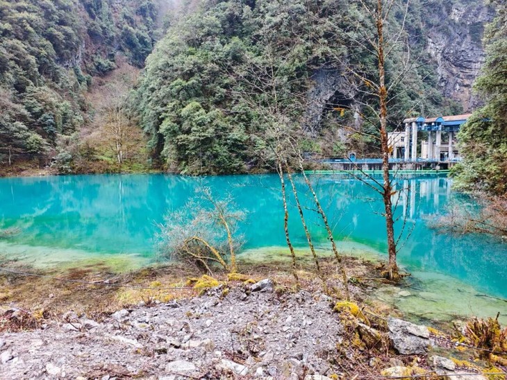 1773039584708384.jpg 5.jpg